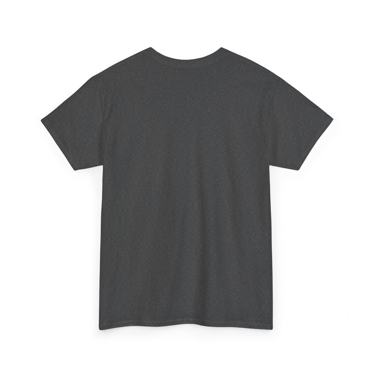 Back of gray t-shirt with no design.