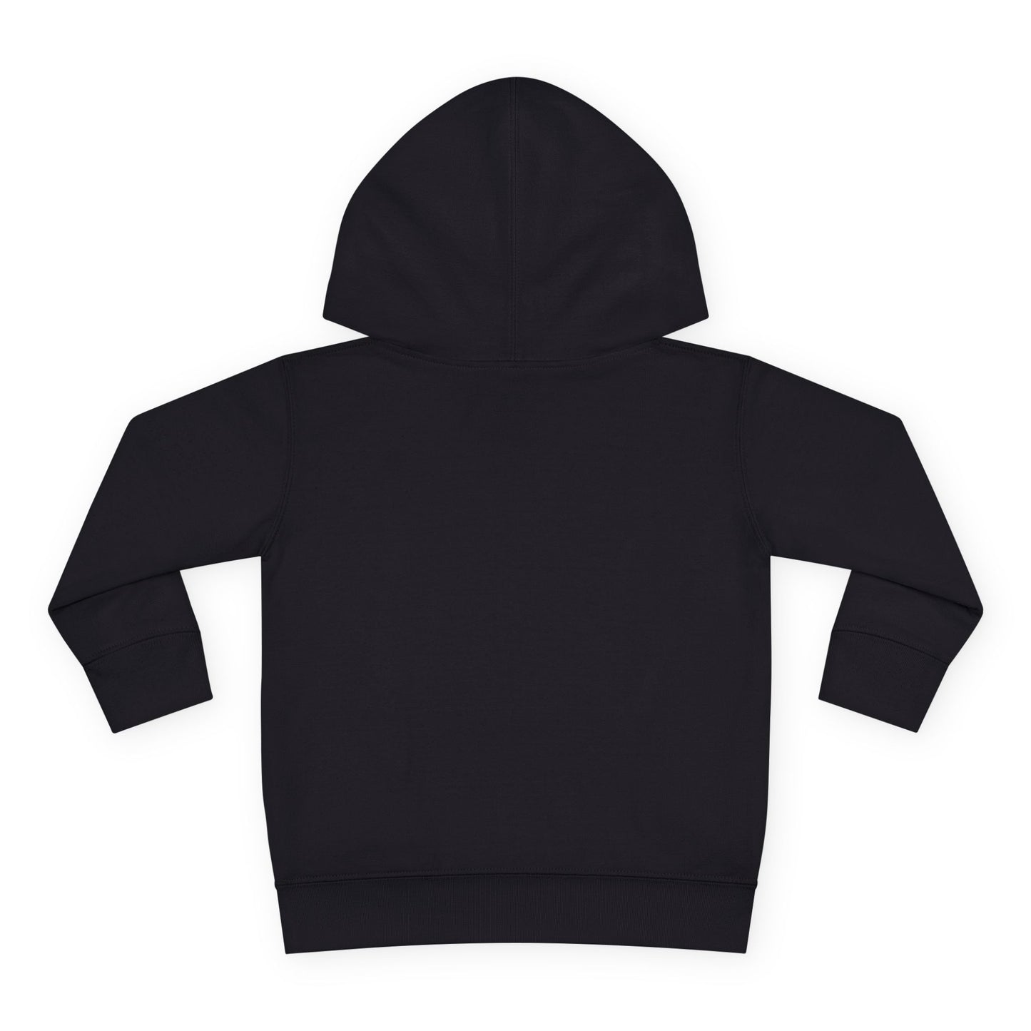 Black hoodie on a white background