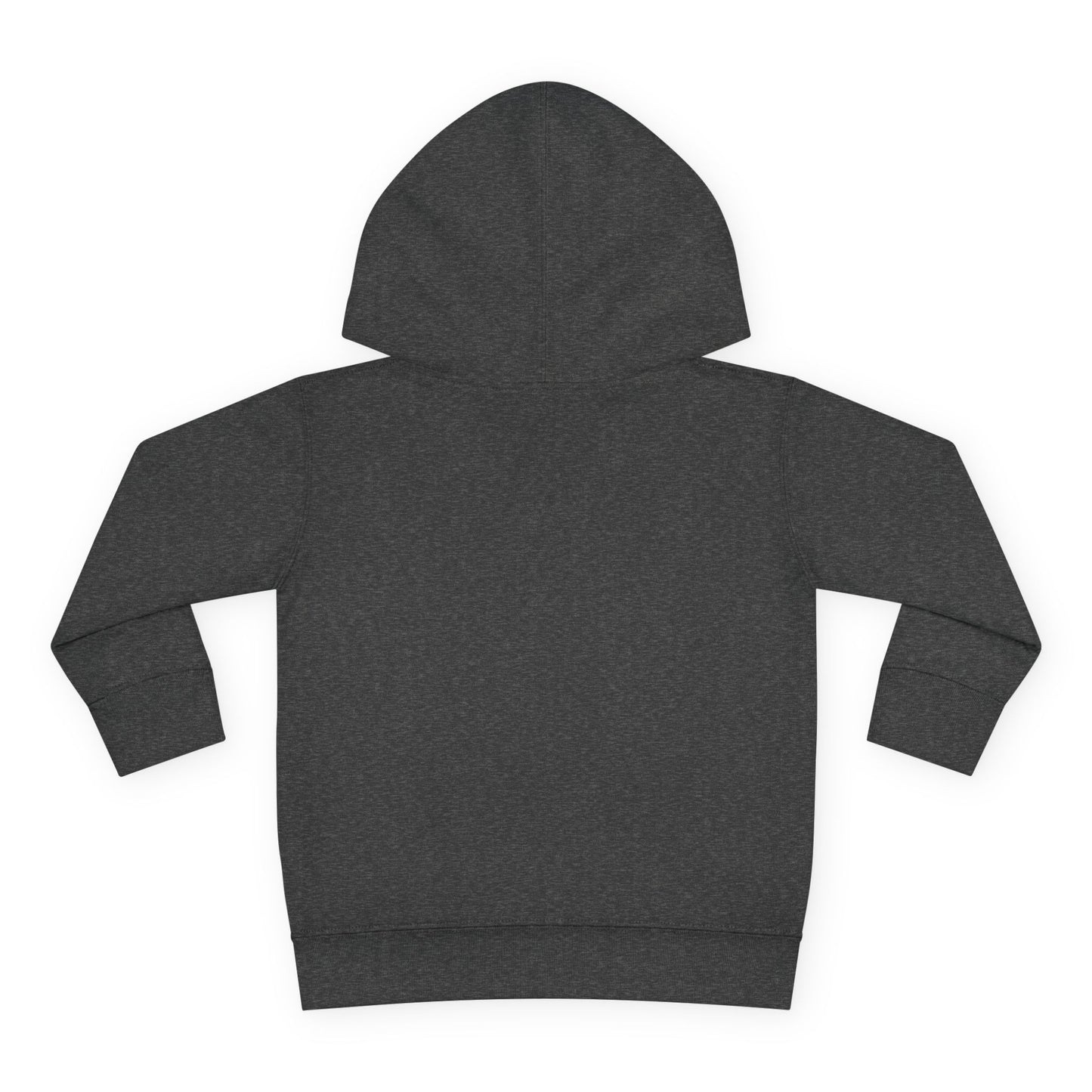 Dark gray hoodie on a white background
