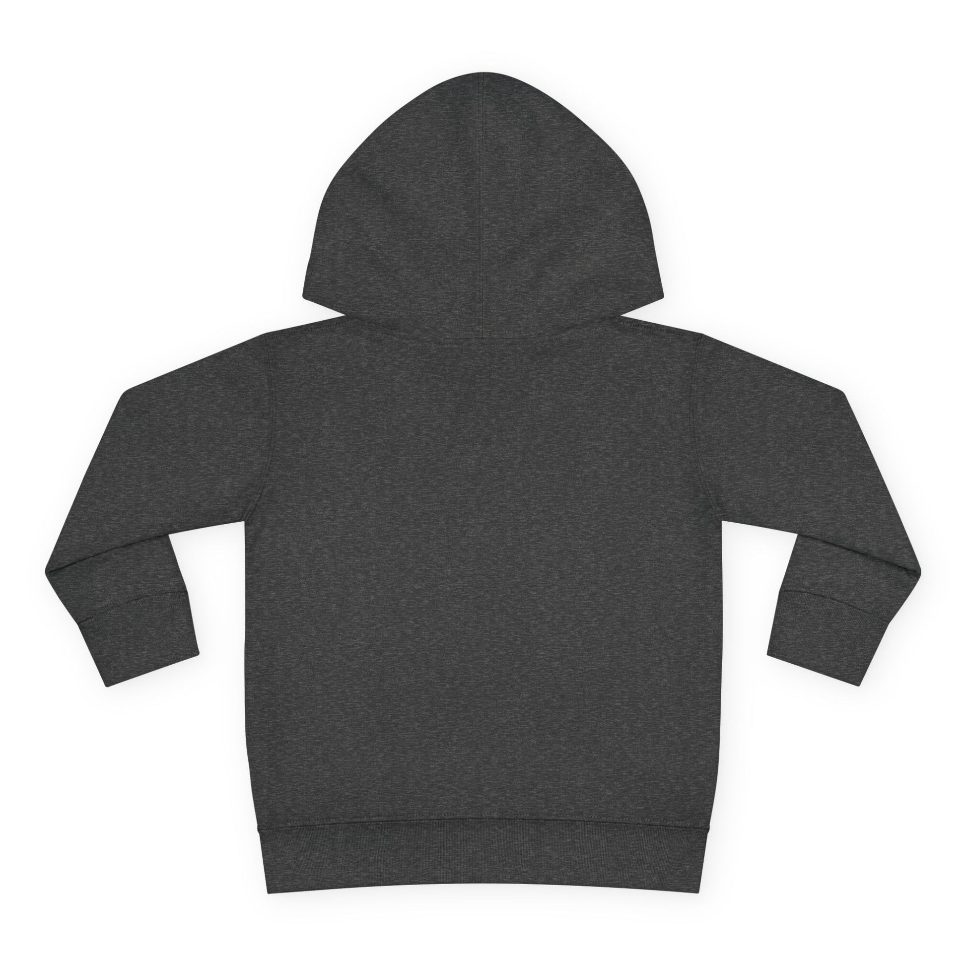 Dark gray hoodie on a white background
