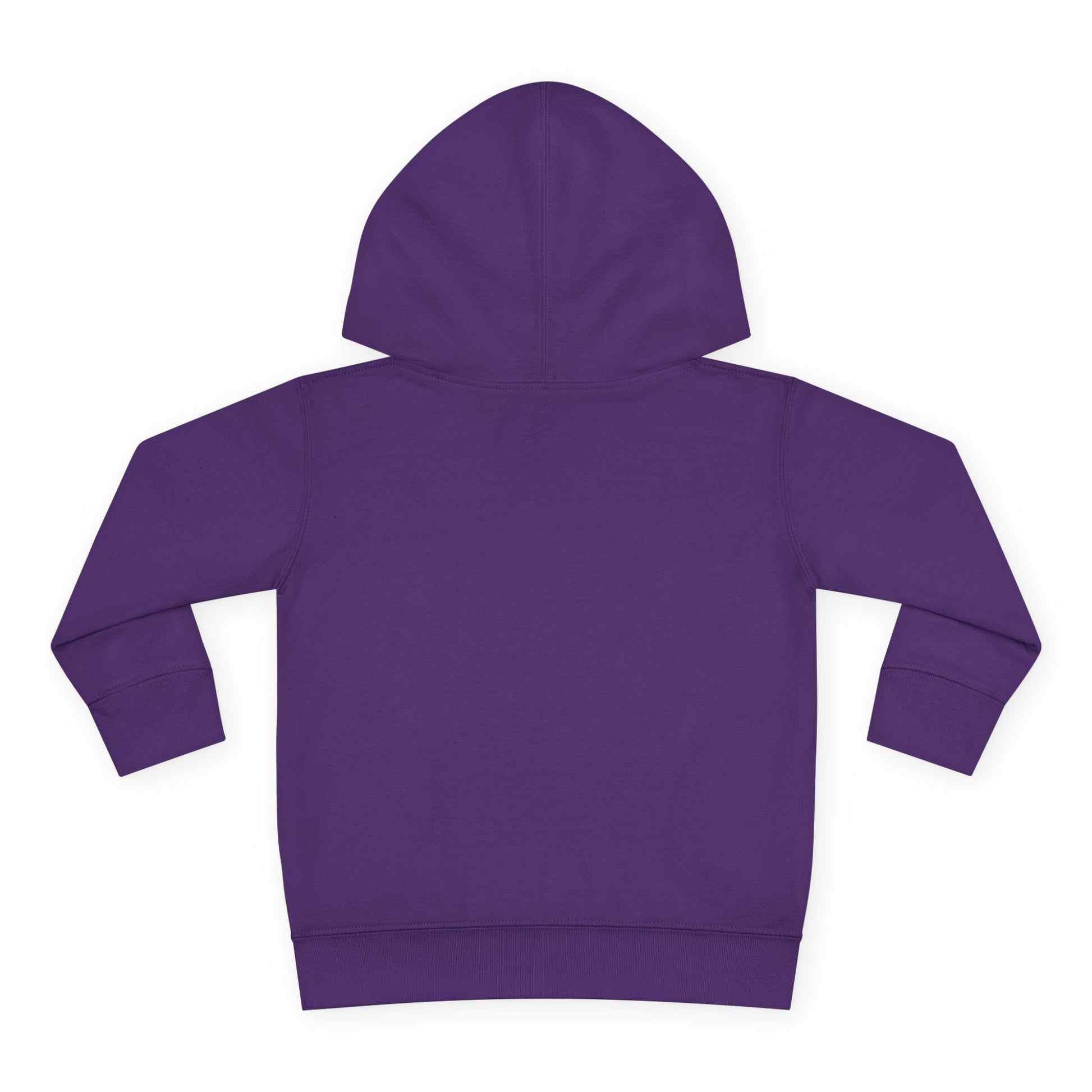 Purple hoodie on a white background