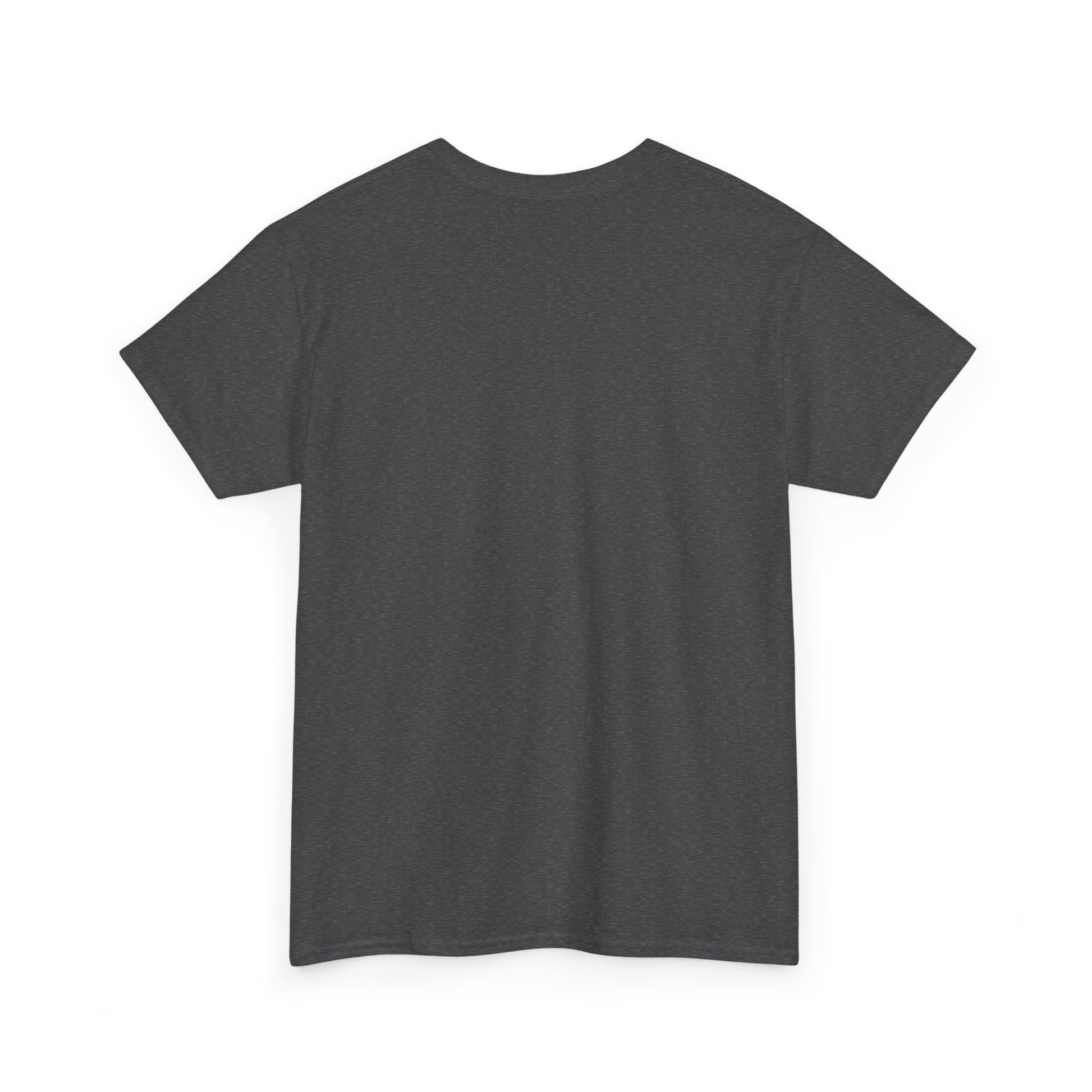 Back of gray t-shirt with no design.