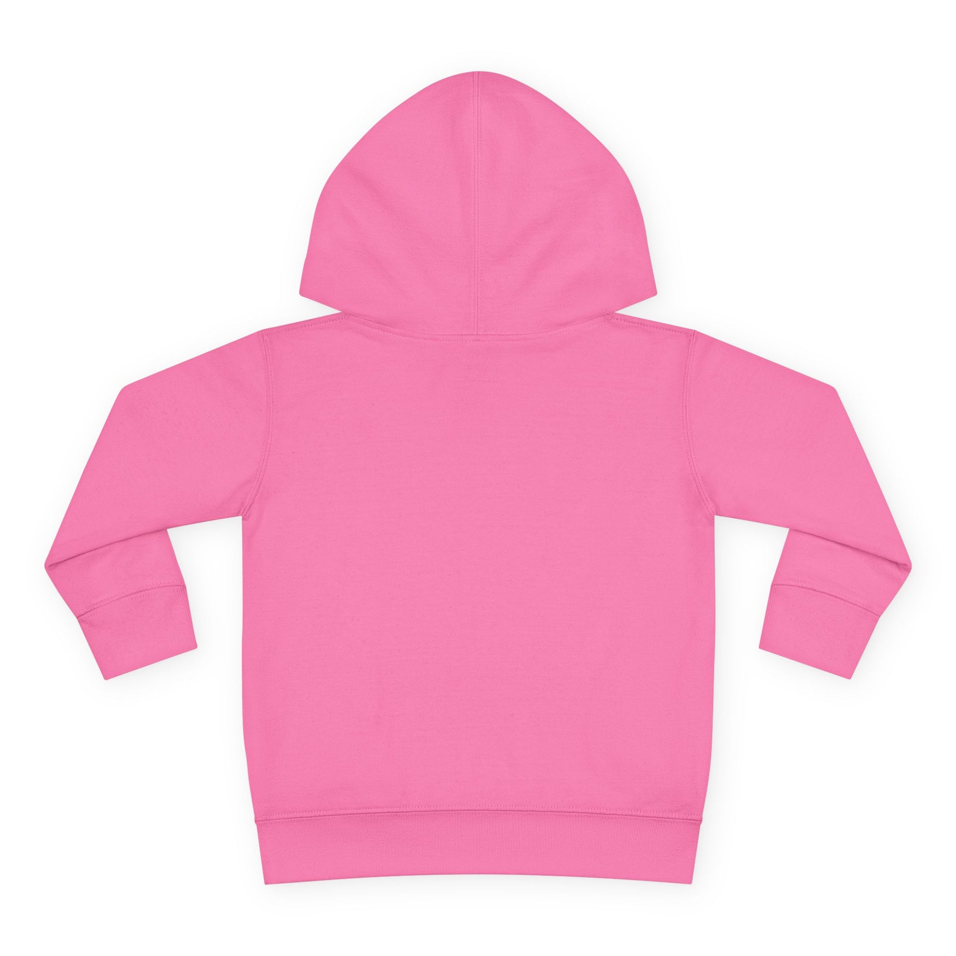 Pink hoodie on a white background